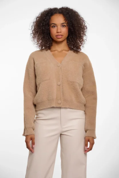 Isarea.5002521 Cardigan Desert