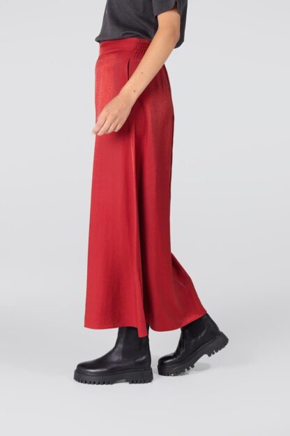 Dahlia W25 Glanzende rok | Rood - Afbeelding 3