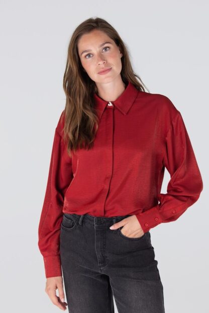 Dolores W25 Glanzende Blouse | Rood